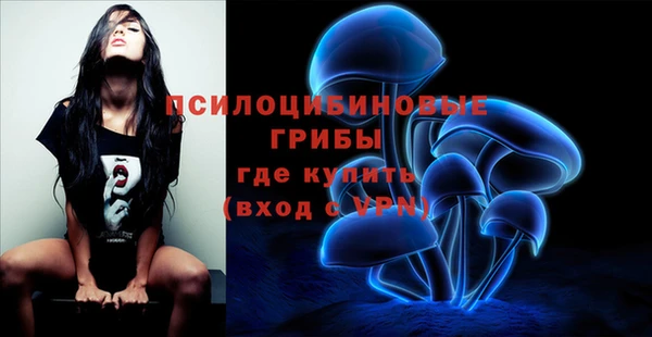 марки nbome Медвежьегорск