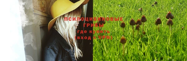 кокс Мегион