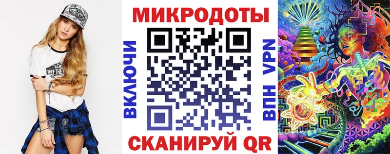 закладка  Бор  Псилоцибиновые грибы прущие грибы 